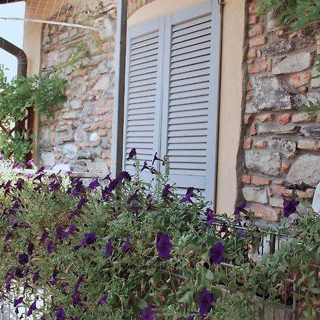 B&B Storico Como Habitación foto